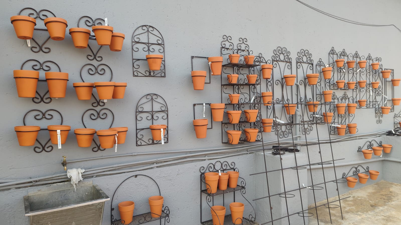 WhatsApp Image 2025-09-02 at 08.14.01