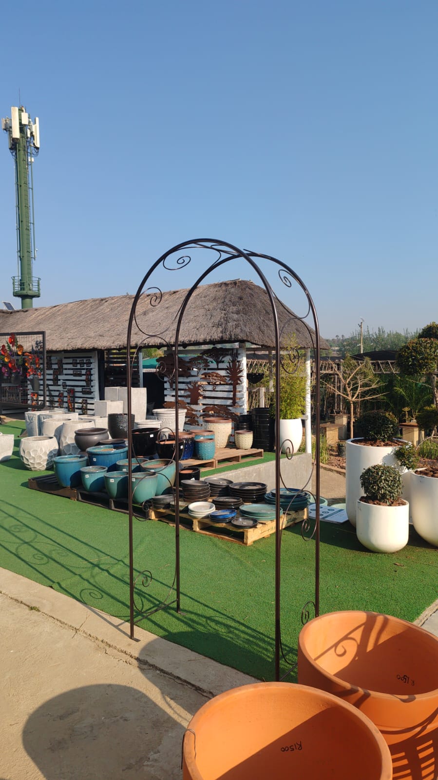 WhatsApp Image 2025-09-02 at 08.14.23