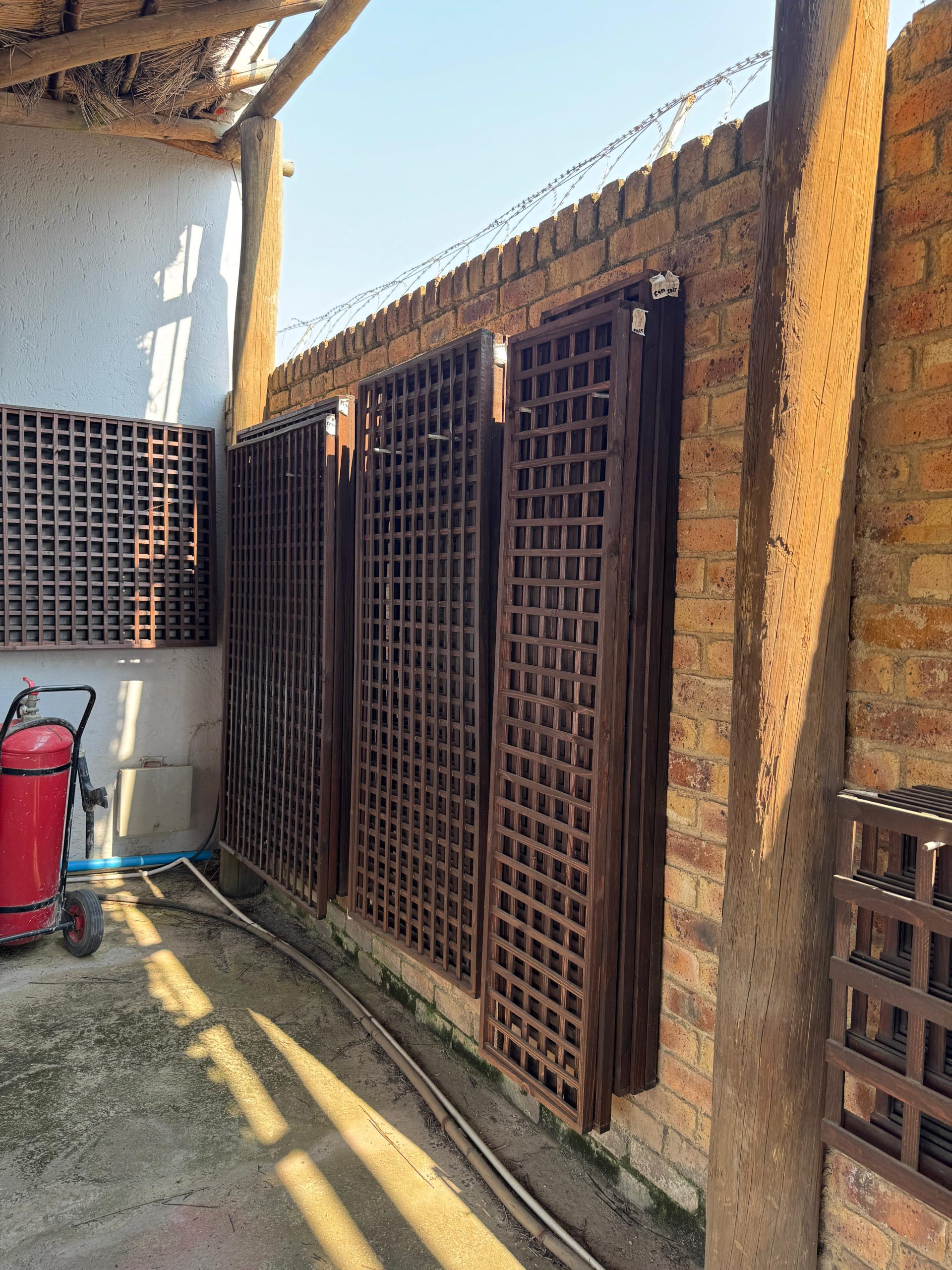 WhatsApp Image 2025-09-03 at 09.20.11 (1)