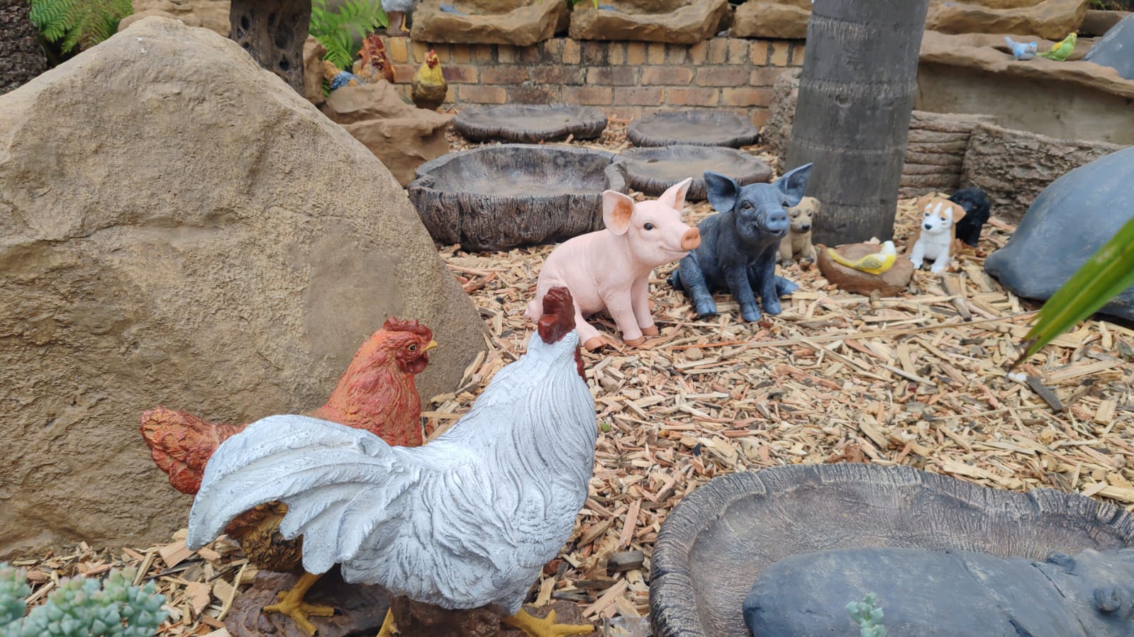 WhatsApp Image 2025-09-25 at 14.07.11