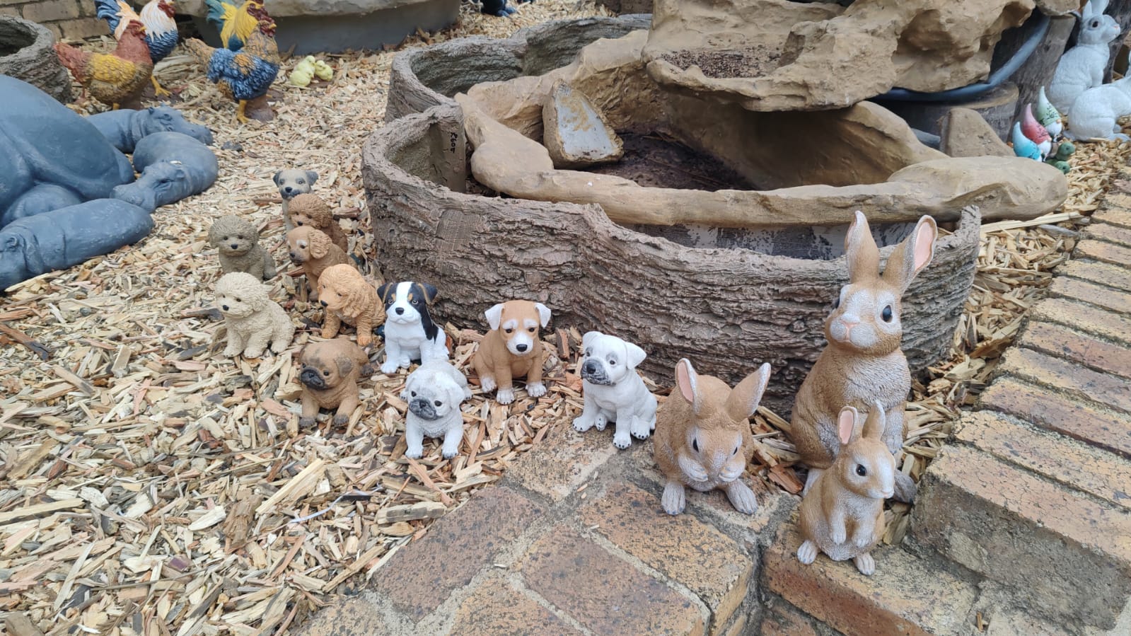 PHOTO-2025-09-25-14-06-54